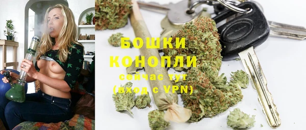 дживик Анива