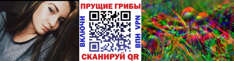 Псилоцибиновые грибы GOLDEN TEACHER  закладка  Домодедово 