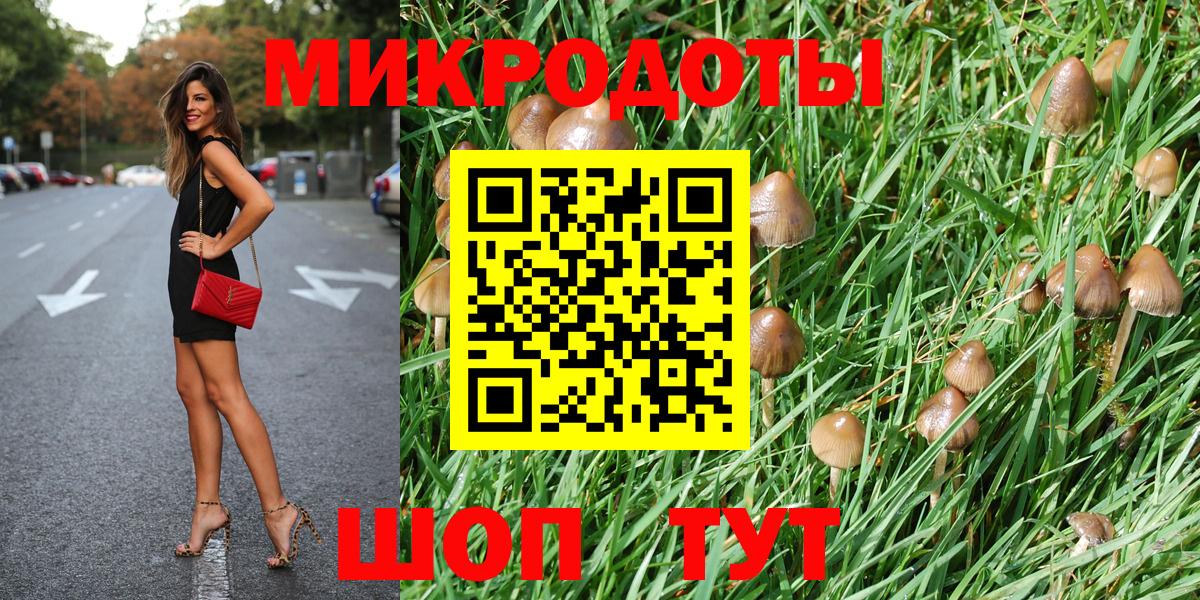Псилоцибиновые грибы Cubensis Домодедово