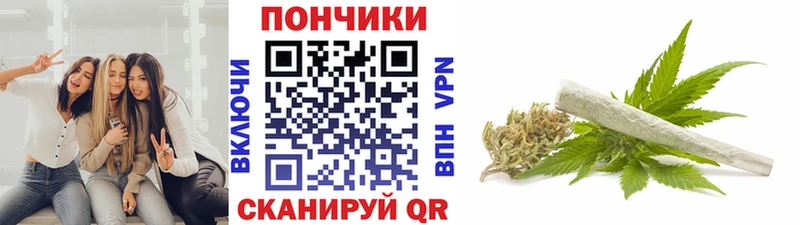 Бошки марихуана гибрид  даркнет сайт  Домодедово 